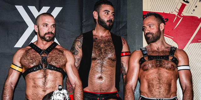 gay bear escort uomini gay nudi gay bear escort uomini gay nudi
